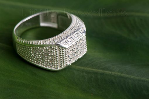 Fashionable Sterling Silver Male ring